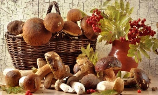 Как похудеть с помощью разных видов грибов?